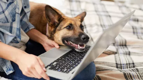 Tips and tricks you can use on the internet
