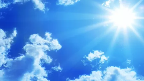 StorageCraft's summer school - Updated