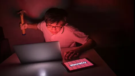 WatchGuard finds Australians not sure how to deal with ransomware