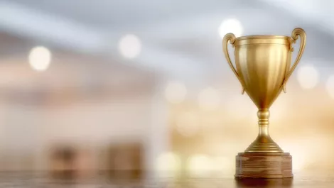 Top partners recognised at HPE awards
