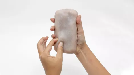 No joke - researchers have created 'caressable' artificial skin