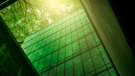 Lenovo launches CO2 Offset Service for SMBs across ANZ